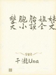 双胞胎姐妹乐翻天小说全文阅读