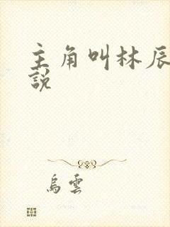 主角叫林辰的小说