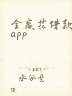 金赢花借款下载app