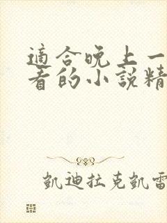 适合晚上一个人看的小说精彩