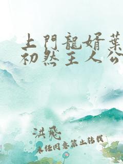 上门龙婿叶辰萧初然主人公