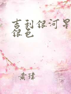 吉利银河星耀8银色