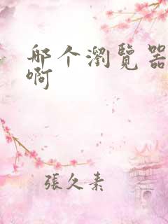 哪个浏览器好用啊