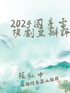 2024国产电视剧豆瓣评分排行榜