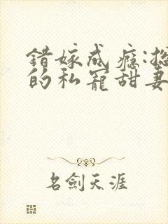 错嫁成瘾:总裁的私宠甜妻