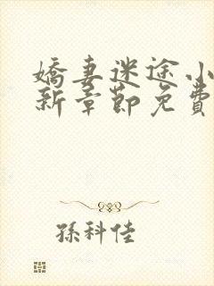 娇妻迷途小说最新章节免费阅读