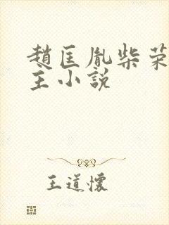 赵匡胤柴荣双男主小说