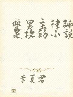 双男主律师姓顾是攻的小说