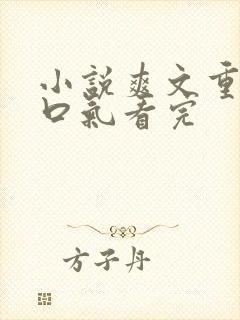 小说爽文重生一口气看完