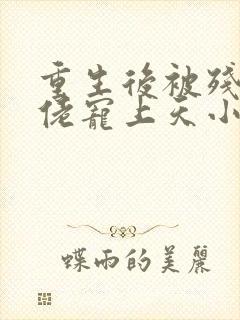 重生后被残疾大佬宠上天小说读