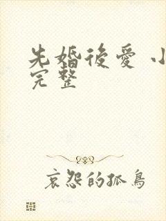先婚后爱 小说完整