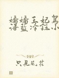 娇娇王妃驾到水洛蓝冷钰小说免费阅读