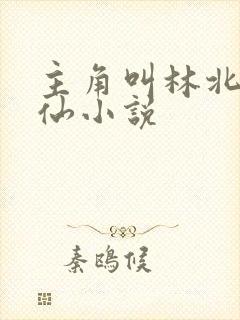 主角叫林北的修仙小说