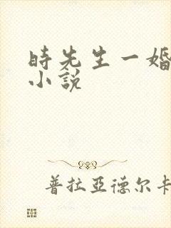 时先生一婚到底小说