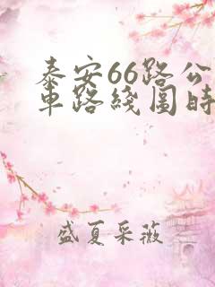 泰安66路公交车路线图时间表