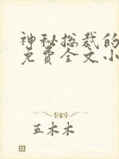 神秘总裁的私宠免费全文小说