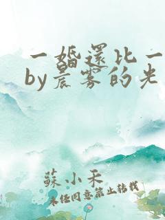 一婚还比一婚高by晨雾的光小说免费阅读