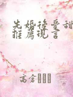 先婚后爱甜宠文推荐现言