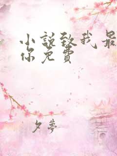 小说致我最爱的你免费