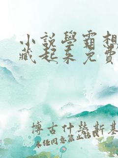 小说学霸想把你藏起来免费阅读