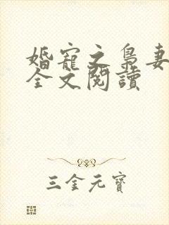 婚宠之枭妻霸爱全文阅读