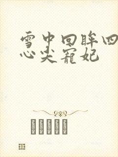 雪中回眸四爷的心尖宠妃