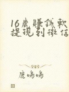 16岁赚钱软件提现到微信的
