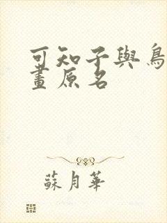可知子与鸟君漫画原名