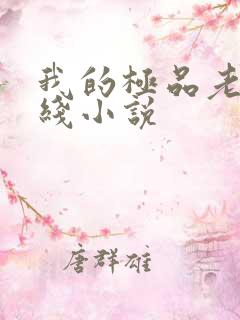 我的极品老婆在线小说