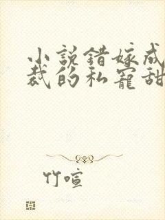 小说错嫁成婚总裁的私宠甜妻