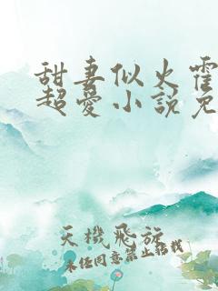 甜妻似火霍爷他超爱小说免费阅读