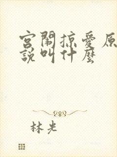 宫闱掠爱原著小说叫什么