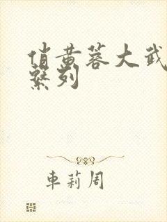 俏黄蓉大武小武系列