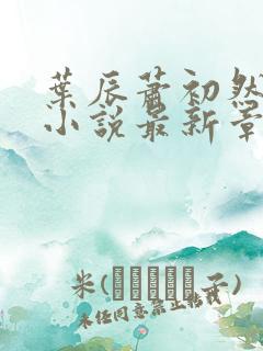 叶辰萧初然结局小说最新章节