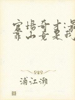 官场奇才:最强靠山竟是我自己李霖