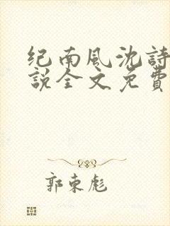 纪南风沈诗澜小说全文免费观看