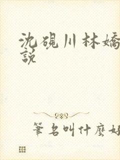 沈砚川林娇娇小说