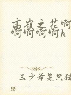 高岭之花啊啊啊啊啊啊啊h