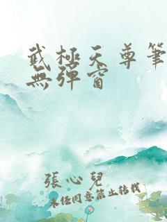 武极天尊笔趣阁无弹窗