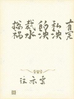 总裁的私有宝贝祸水泱泱完整小说在哪看