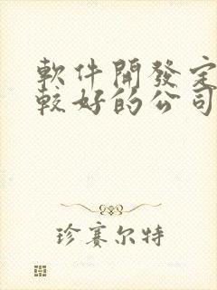 软件开发定制比较好的公司