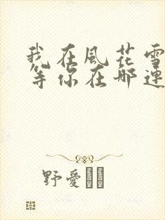 我在风花雪月里等你在哪连载