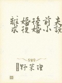 离婚后前夫哭着求复婚小说在线阅读免费