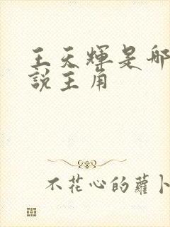 王天辉是哪部小说主角