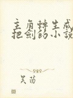 主角转生成为一把剑的小说