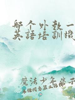哪个外教一对一英语培训机构好