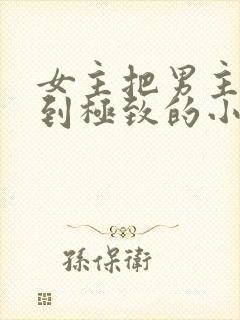 女主把男主囚禁到极致的小说