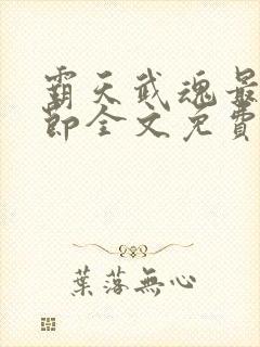 霸天武魂最新章节全文免费阅读