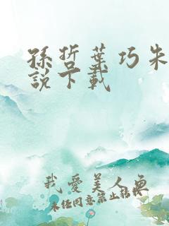孙哲叶巧朱颜小说下载