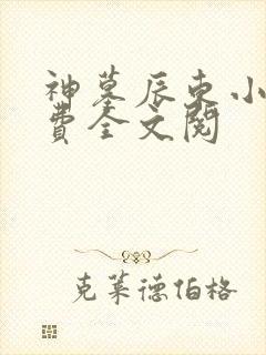 神墓辰东小说免费全文阅